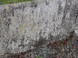 image of grave number 206200